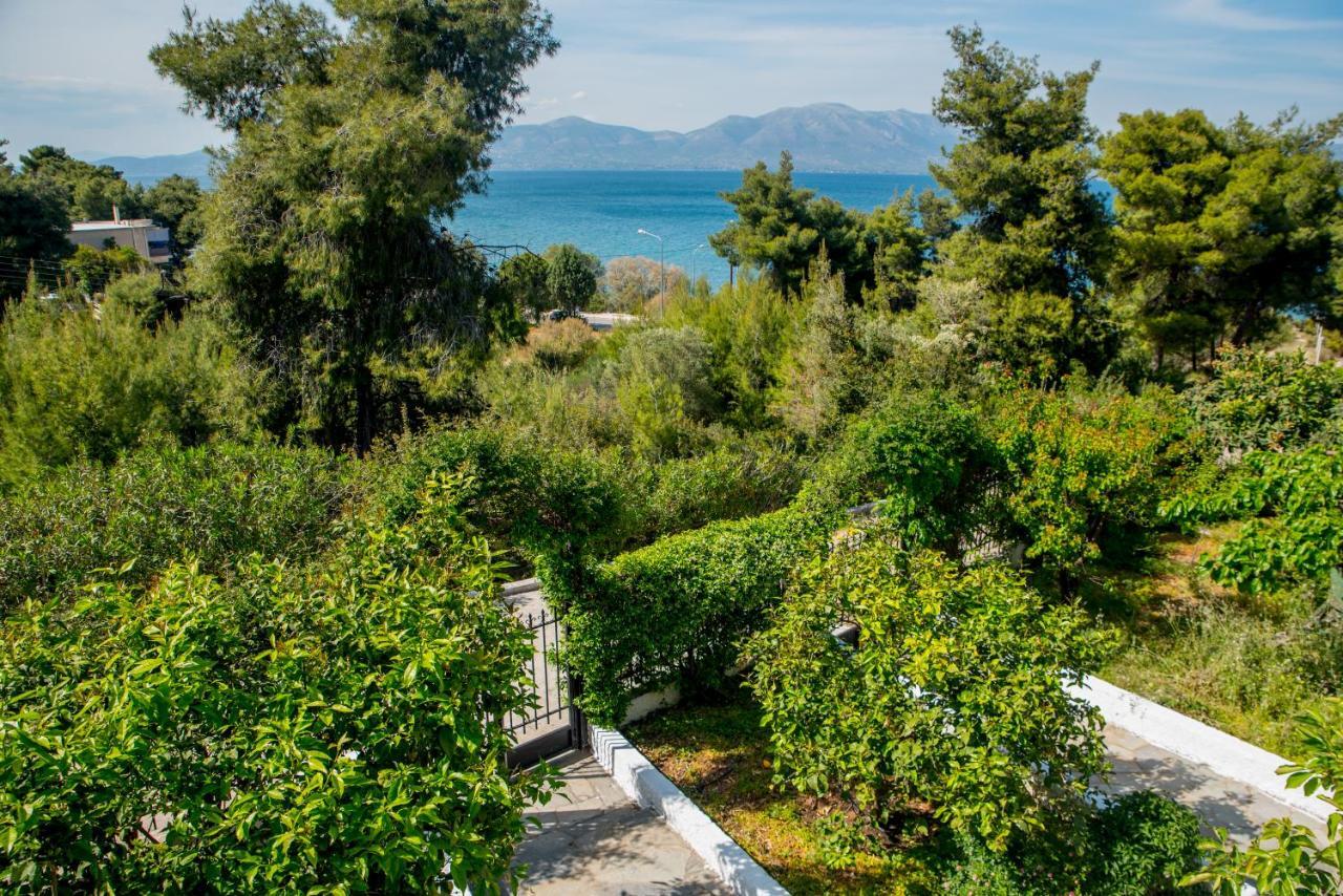 Iliochari Sea View Apartments Oropos - Kalamos Exterior foto