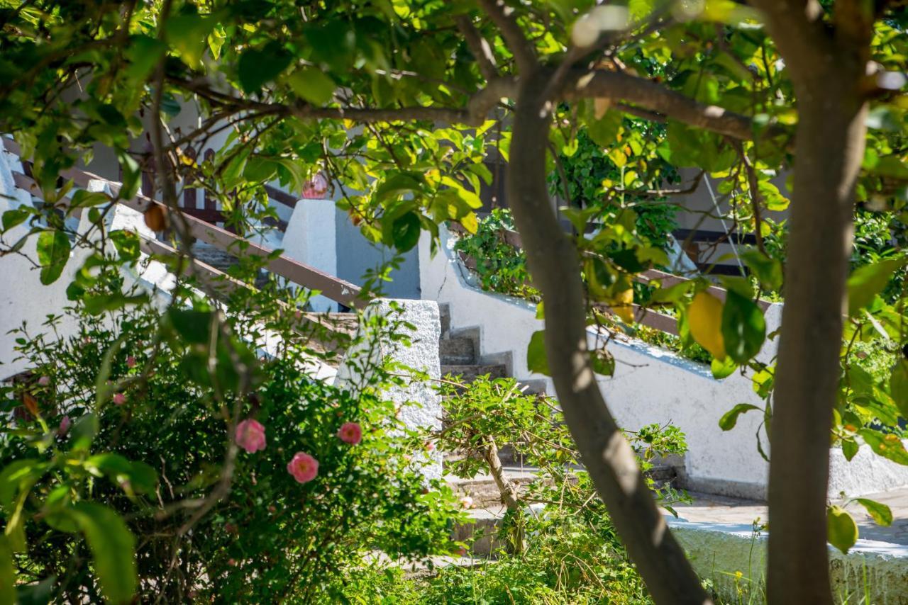 Iliochari Sea View Apartments Oropos - Kalamos Exterior foto